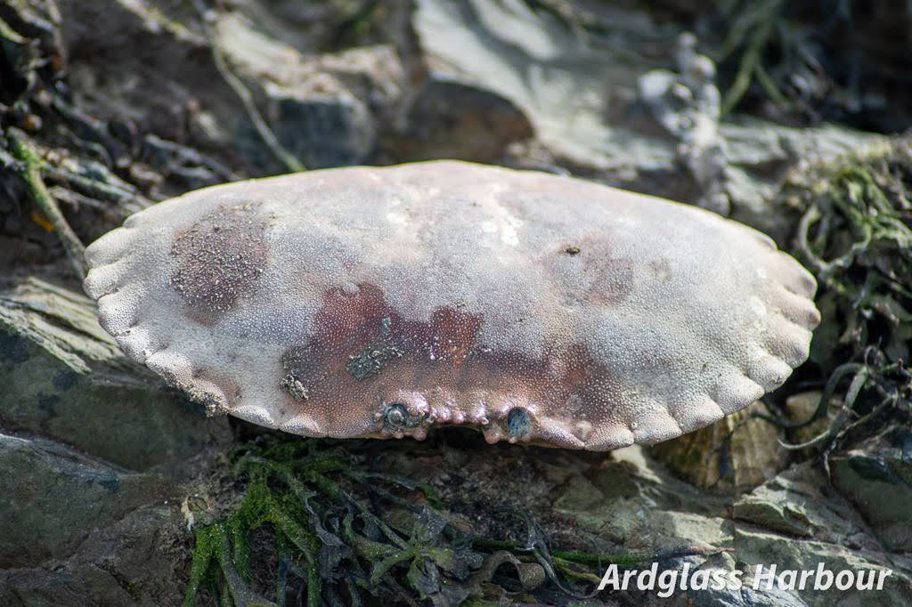 DSC3220-—-kopia-1024x682