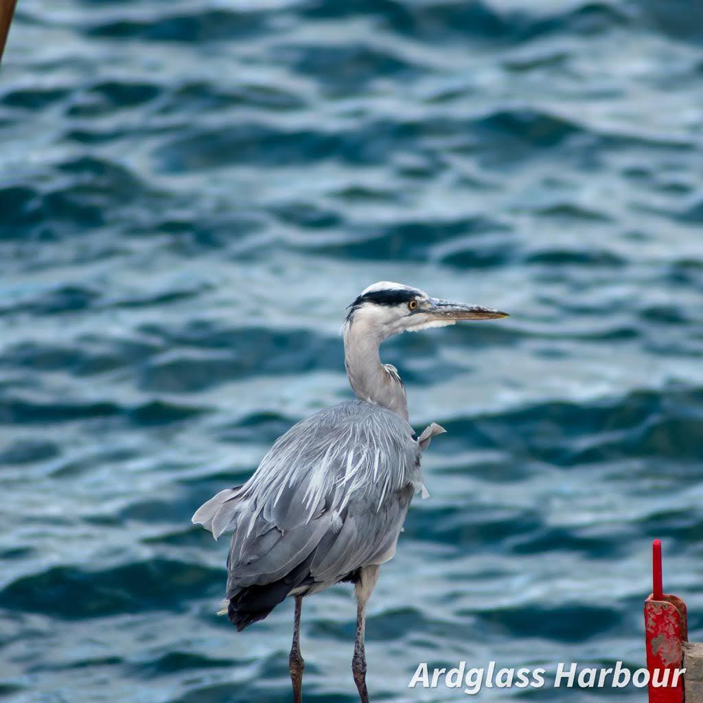 DSC3231-—-kopia-1024x1024
