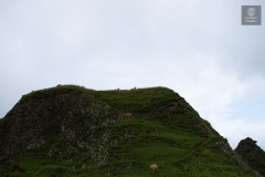IMG_4760