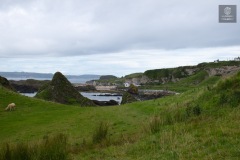 IMG_4761