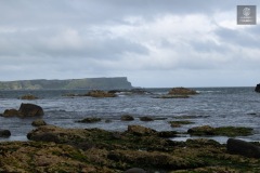 IMG_4771