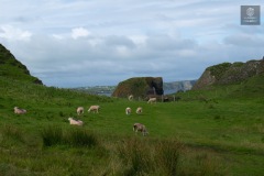 IMG_4796
