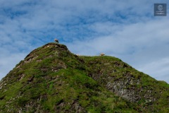 IMG_4799