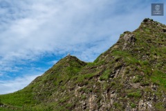 IMG_4800