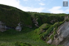 IMG_4811
