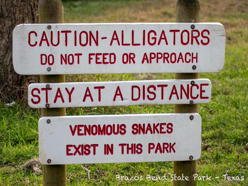 Caution sign informing visitors about alligators and wildlife.