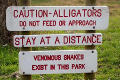 Caution sign informing visitors about alligators and wildlife.