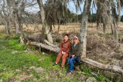 Southern-style oak trees covered with Spanish moss in Brazos Bend State Park.