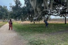 Walking trail through wetlands and forest near the Brazos River.