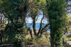 IMG_3576