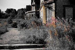 IMG_3596