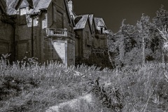 IMG_3615