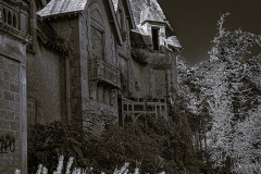 IMG_3617