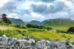 Donegal-05