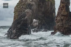 Donegal-22