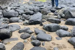 Donegal-26