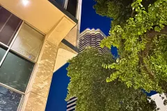 Night view of Dallas city lights and skyscrapers