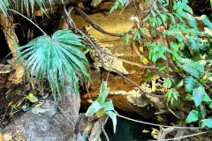 IMG_0546-EDIT