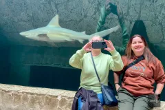 shark-dallas-world-aquarium-visit