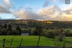 IMG_7401