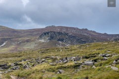 IMG_5395