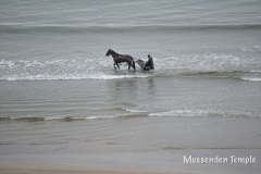 IMG_0726_Original