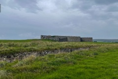 IMG_7455