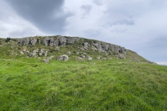 IMG_7459