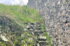 IMG_7482