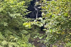 IMG_7562