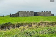 IMG_7590