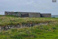 IMG_7591