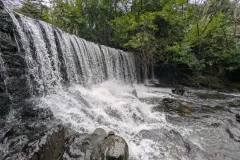 PXL_20241229_141828248.RAW-01.COVER_