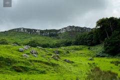 IMG_7153