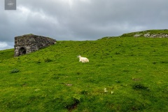 IMG_7172