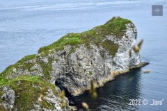 IMG_7236