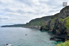 IMG_7345