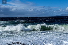 IMG_6790