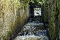 IMG_6830