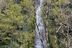 IMG_6838