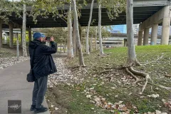 Photographer taking pictures in Buffalo Bayou Park Houston Texas