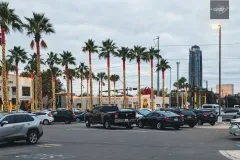 Palm trees decorated with Christmas lights in Houston Texas parking area