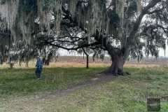 Jaro standing near large oak tree in Texas wetlands