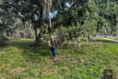 Woman standing near large oak tree in Texas wetlands