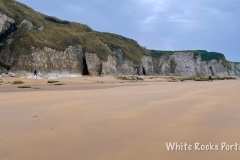 IMG_3001_Original