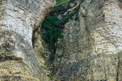 IMG_3004_Original