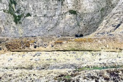 IMG_3005_Original