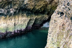 IMG_3016_Original