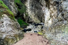 IMG_3036_Original