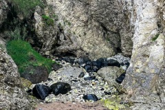IMG_3037_Original